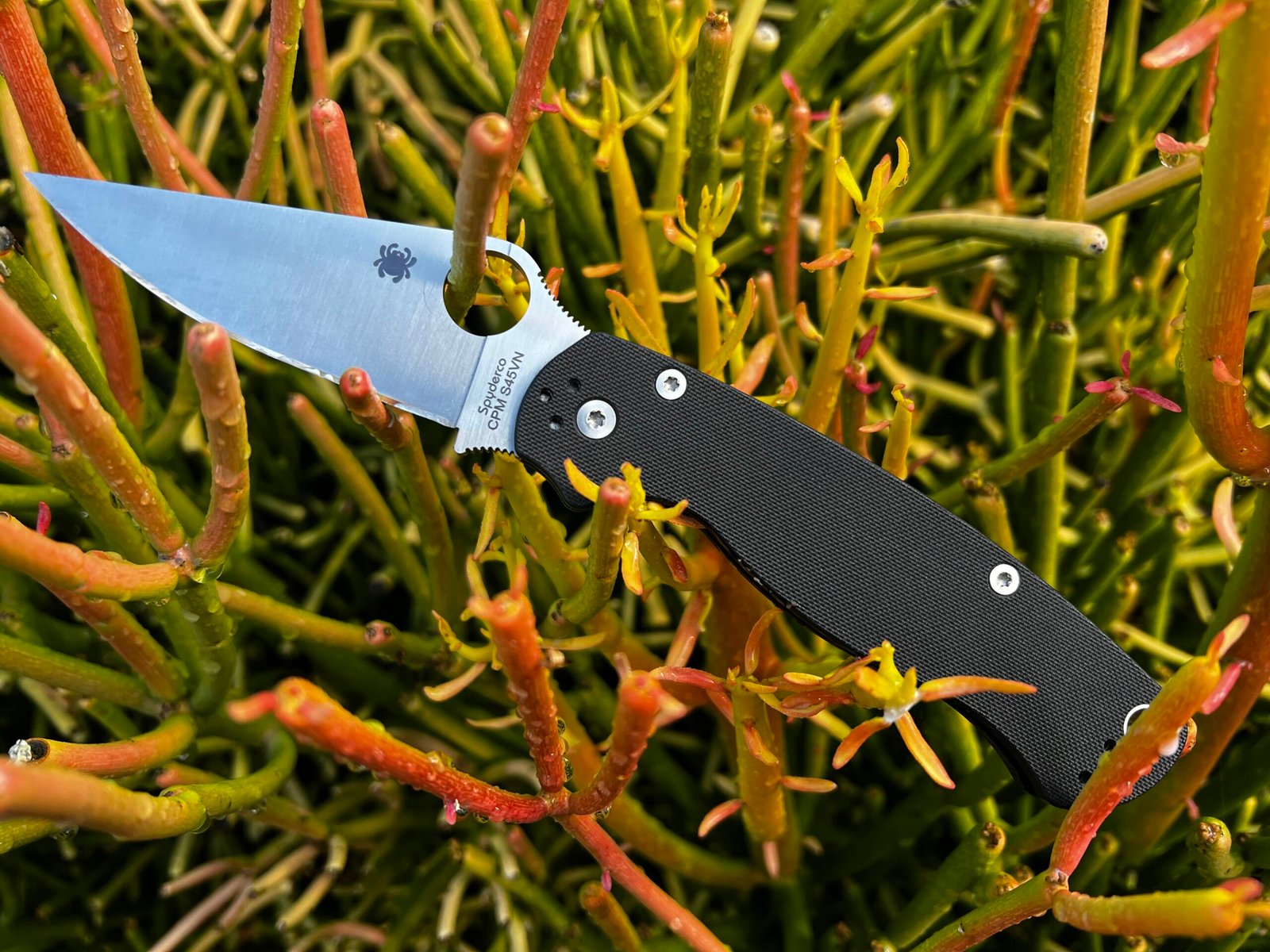 The Spyderco Para Military 2: The Best Gift I Ever Received
