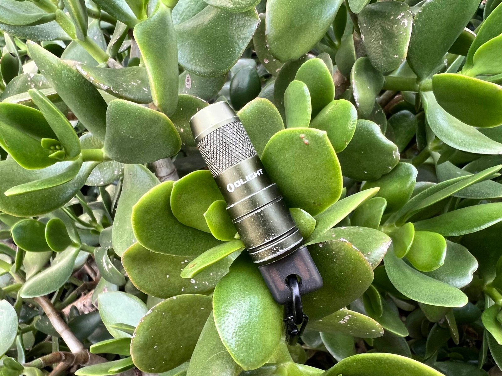 Olight imini 2 Review: The Best Mini EDC Flashlight?